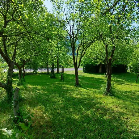 Apartament Lohovo